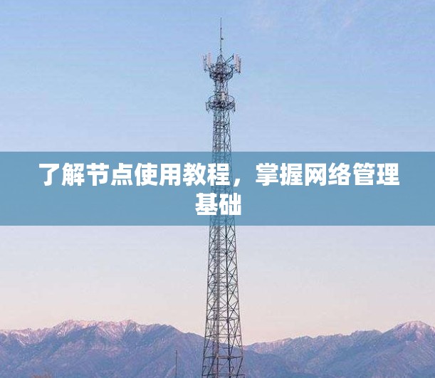 了解节点使用教程,掌握网络管理基础 了解节点使用教程,掌握网络管理基础