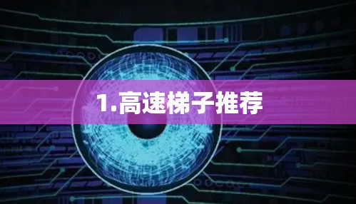 1.高速梯子推荐 1.高速梯子推荐