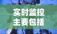 实时监控主要包括以下几个方面 实时监控主要包括以下几个方面