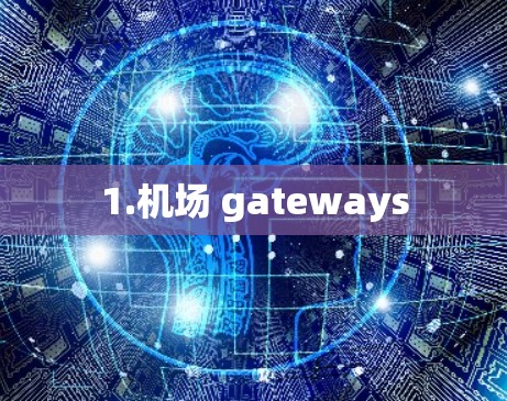 1.机场 gateways