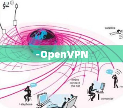 -OpenVPN -OpenVPN