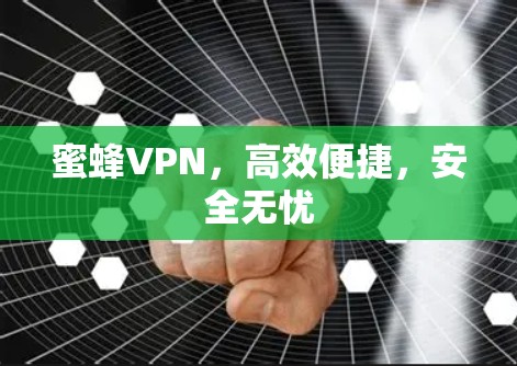 蜜蜂VPN，高效便捷，安全无忧