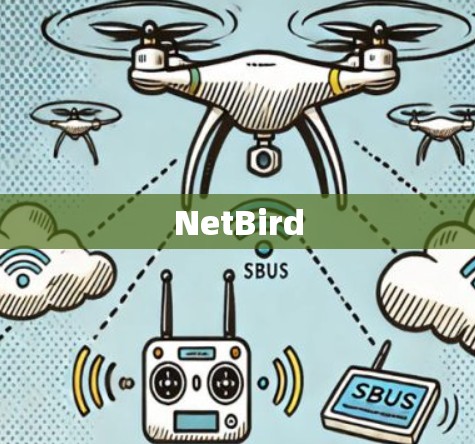NetBird NetBird