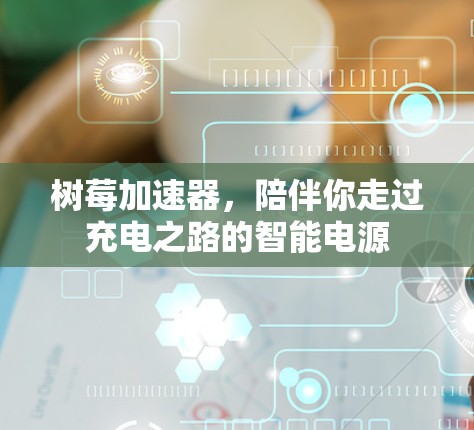 树莓加速器,陪伴你走过充电之路的智能电源 树莓加速器,陪伴你走过充电之路的智能电源