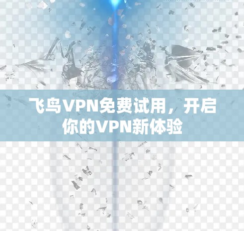 飞鸟VPN免费试用，开启你的VPN新体验