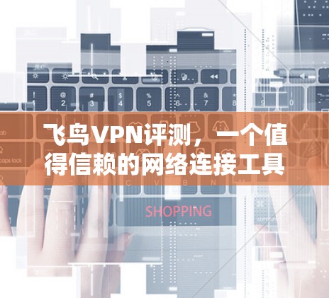 飞鸟VPN评测,一个值得信赖的网络连接工具 飞鸟VPN评测,一个值得信赖的网络连接工具