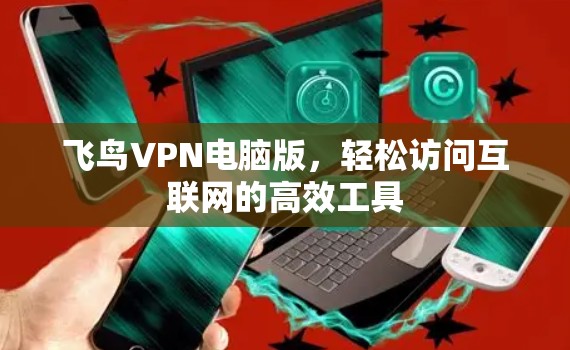 飞鸟VPN电脑版,轻松访问互联网的高效工具 飞鸟VPN电脑版,轻松访问互联网的高效工具