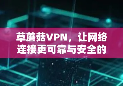 草蘑菇VPN,让网络连接更可靠与安全的解决方案 草蘑菇VPN,让网络连接更可靠与安全的解决方案