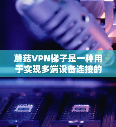 蘑菇VPN梯子是一种用于实现多端设备连接的VPN服务,它通过多个端口和端口配置来实现多设备的远程访问和数据传输。以下是一个详细的步骤指南,帮助您了解和使用蘑菇VPN梯子 蘑菇VPN梯子是一种用于实现多端设备连接的VPN服务,它通过多个端口和端口配置来实现多设备的远程访问和数据传输。以下是一个详细的步骤指南,帮助您了解和使用蘑菇VPN梯子