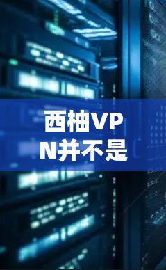 西柚VPN并不是官方的，它可能是一个内部资源或者某个特定平台的VPN服务。如果你无法找到官方下载链接，可以尝试以下方法