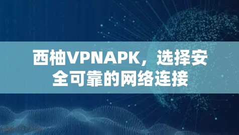 西柚VPNAPK,选择安全可靠的网络连接 西柚VPNAPK,选择安全可靠的网络连接