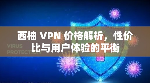 西柚 VPN 价格解析,性价比与用户体验的平衡 西柚 VPN 价格解析,性价比与用户体验的平衡