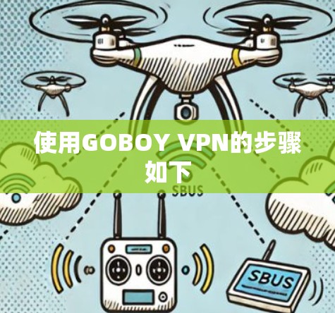 使用GOBOY VPN的步骤如下 使用GOBOY VPN的步骤如下