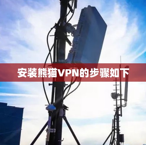安装熊猫VPN的步骤如下 安装熊猫VPN的步骤如下