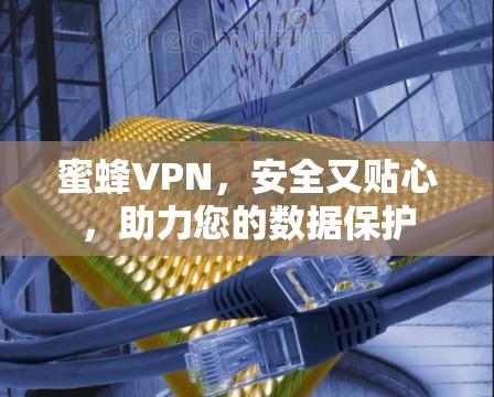 蜜蜂VPN,安全又贴心,助力您的数据保护 蜜蜂VPN,安全又贴心,助力您的数据保护