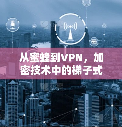 从蜜蜂到VPN,加密技术中的梯子式连接 从蜜蜂到VPN,加密技术中的梯子式连接