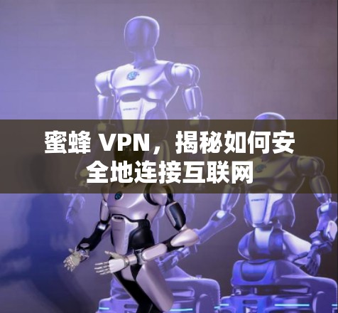 蜜蜂 VPN,揭秘如何安全地连接互联网 蜜蜂 VPN,揭秘如何安全地连接互联网