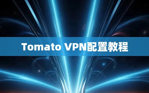 Tomato VPN配置教程 Tomato VPN配置教程
