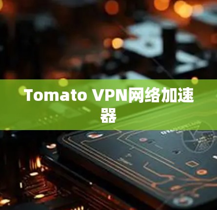 Tomato VPN网络加速器 Tomato VPN网络加速器