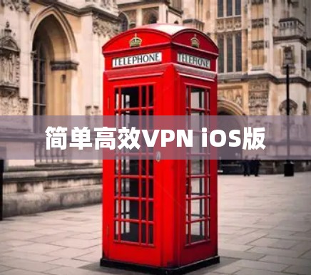 简单高效VPN iOS版 简单高效VPN iOS版