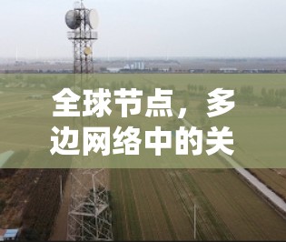 全球节点，多边网络中的关键角色与作用
