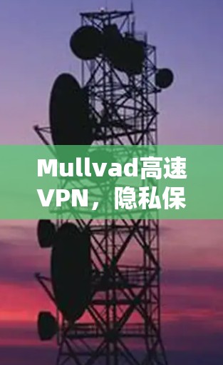 Mullvad高速VPN，隐私保护与安全保障的完美结合