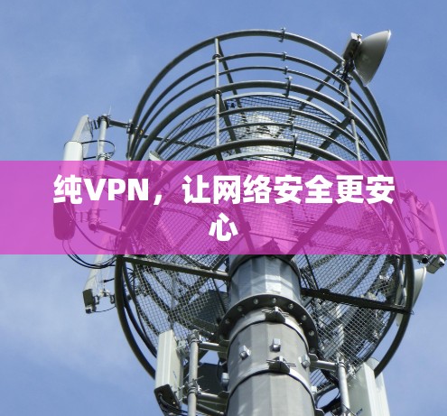 纯VPN,让网络安全更安心 纯VPN,让网络安全更安心