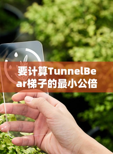 要计算TunnelBear梯子的最小公倍数（LCM）按照以下步骤进行