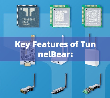 Key Features of TunnelBear: Key Features of TunnelBear: