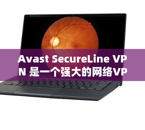 Avast SecureLine VPN 是一个强大的网络VPN工具，专为个人用户设计，旨在提供安全、高效和灵活的网络访问体验。以下是关于 Avast SecureLine VPN 的详细介绍