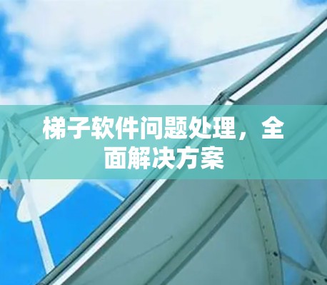 梯子软件问题处理，全面解决方案