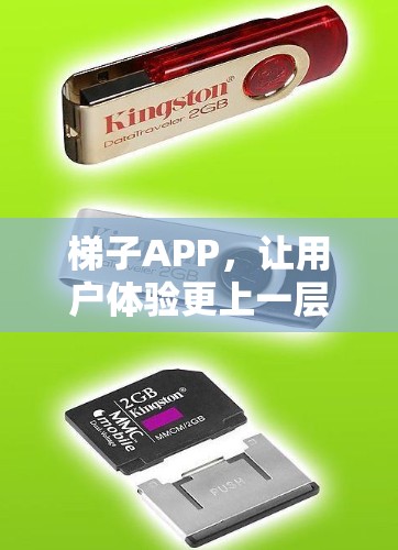 梯子APP,让用户体验更上一层楼 梯子APP,让用户体验更上一层楼