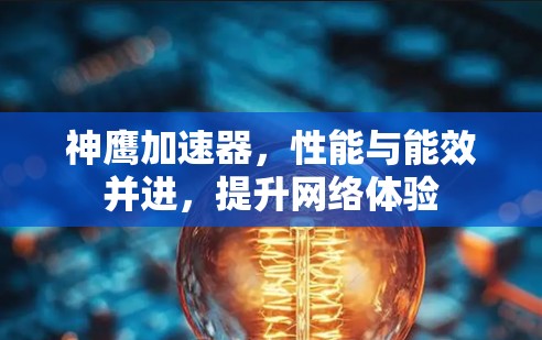神鹰加速器,性能与能效并进,提升网络体验 神鹰加速器,性能与能效并进,提升网络体验
