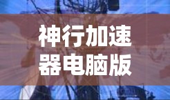 神行加速器电脑版是一种通过网络连接到云服务器运行的加速引擎,供玩家在电脑上加速特定游戏,如龙与地下城。以下是详细的解释 神行加速器电脑版是一种通过网络连接到云服务器运行的加速引擎,供玩家在电脑上加速特定游戏,如龙与地下城。以下是详细的解释