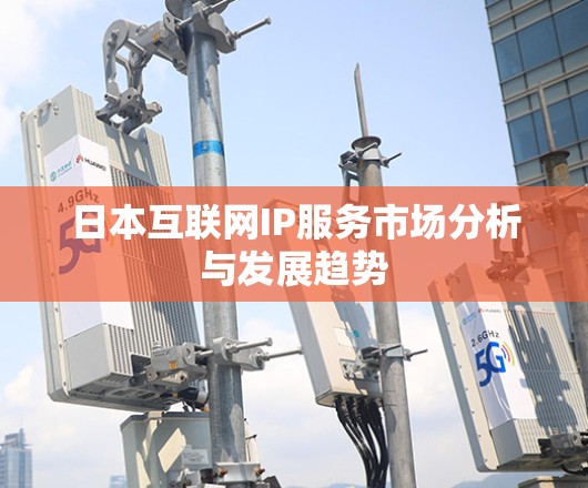 日本互联网IP服务市场分析与发展趋势 日本互联网IP服务市场分析与发展趋势