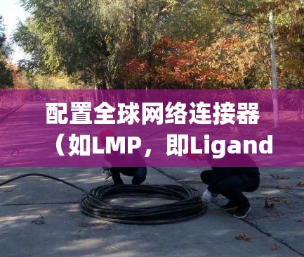 配置全球网络连接器(如LMP,即Ligand Matrix)属于网络设备的配置操作,具体方法取决于你使用的云服务或基础设施。以下是一些通用的配置步骤,适用于大多数云服务系统 配置全球网络连接器(如LMP,即Ligand Matrix)属于网络设备的配置操作,具体方法取决于你使用的云服务或基础设施。以下是一些通用的配置步骤,适用于大多数云服务系统