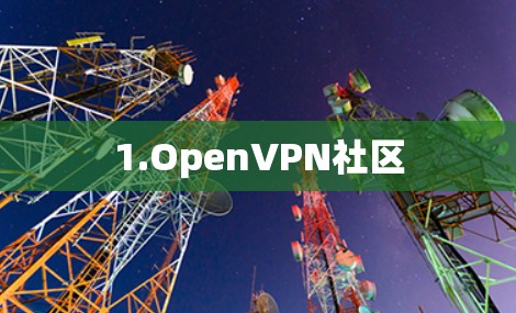 1.OpenVPN社区 1.OpenVPN社区