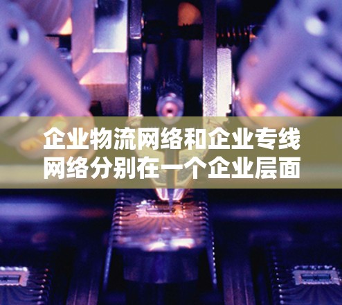 企业物流网络和企业专线网络分别在一个企业层面提供不同的服务类别，各自在不同的应用场景中发挥作用。以下是它们的主要区别和特点
