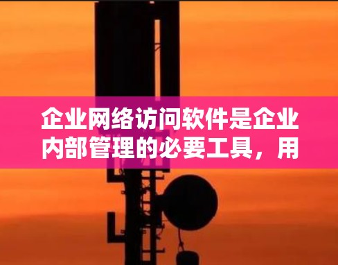 企业网络访问软件是企业内部管理的必要工具，用于控制员工和客户的访问权限，确保数据安全和可用性。以下是这些软件的详细总结