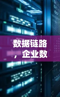 数据链路，企业数据连接的创新路径