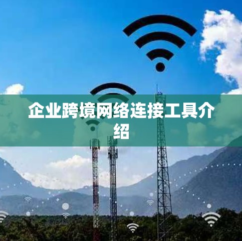 企业跨境网络连接工具介绍
