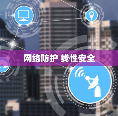 网络防护 线性安全