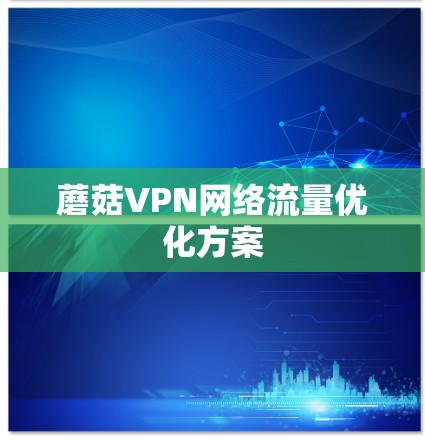 蘑菇VPN网络流量优化方案 蘑菇VPN网络流量优化方案
