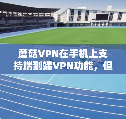 蘑菇VPN在手机上支持端到端VPN功能,但具体支持情况取决于设备和网络环境。以下是一些关键点 蘑菇VPN在手机上支持端到端VPN功能,但具体支持情况取决于设备和网络环境。以下是一些关键点