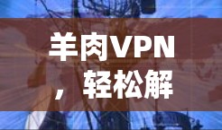 羊肉VPN,轻松解码,安全解码 羊肉VPN,轻松解码,安全解码