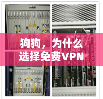 狗狗，为什么选择免费VPN下载版？