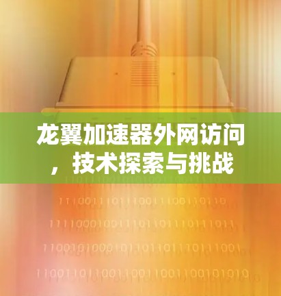 龙翼加速器外网访问，技术探索与挑战