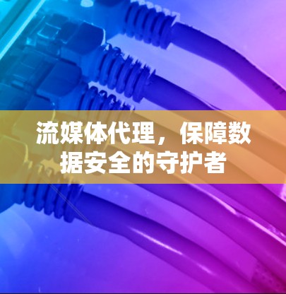 流媒体代理,保障数据安全的守护者 流媒体代理,保障数据安全的守护者