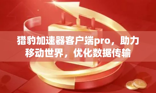 猎豹加速器客户端pro,助力移动世界,优化数据传输 猎豹加速器客户端pro,助力移动世界,优化数据传输