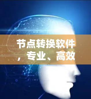 节点转换软件，专业、高效、安全，助力数字世界！